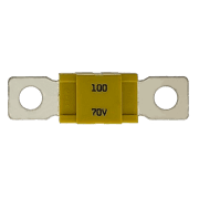 AMG® Fuse - 100 Amp