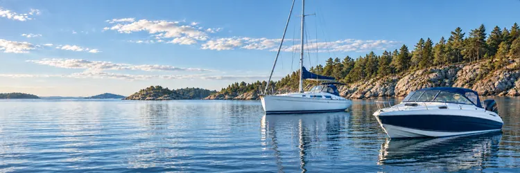 A sailing yacht and a powerboat beside a pine-covered rocky coastline